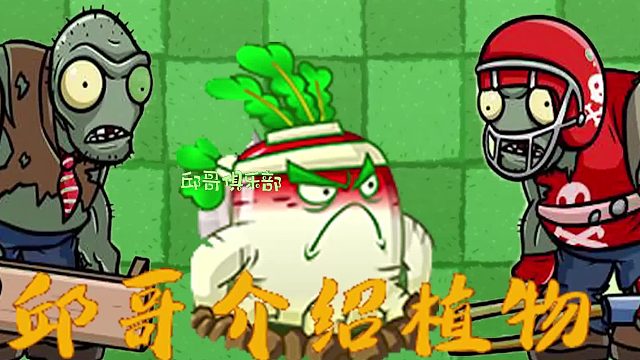 008邱哥介绍植物：植物大战僵尸之白萝卜！
