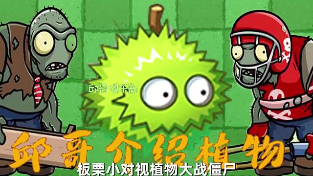 009邱哥介绍植物：植物大战僵尸之板栗小队！