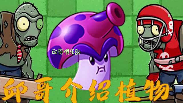 010邱哥介绍植物：植物大战僵尸之孢子菇！
