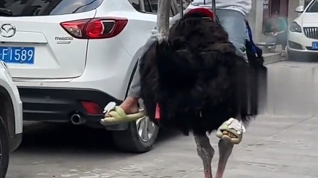 新时代的出行方式？