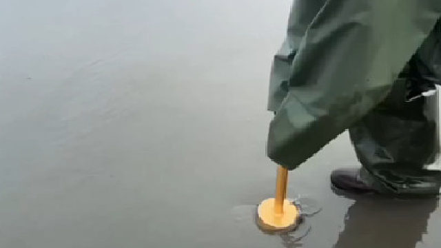 赶海一挖一个准