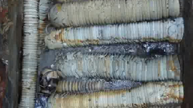 800年前的快递打包方式！看古人如何把空间利用到极致