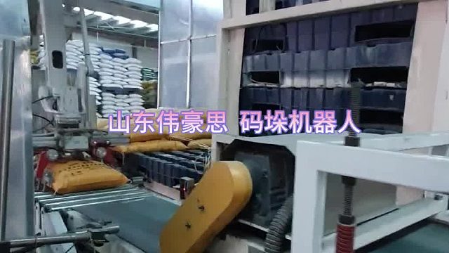 碳酸氢铵码垛机器人 袋料全自动码垛机