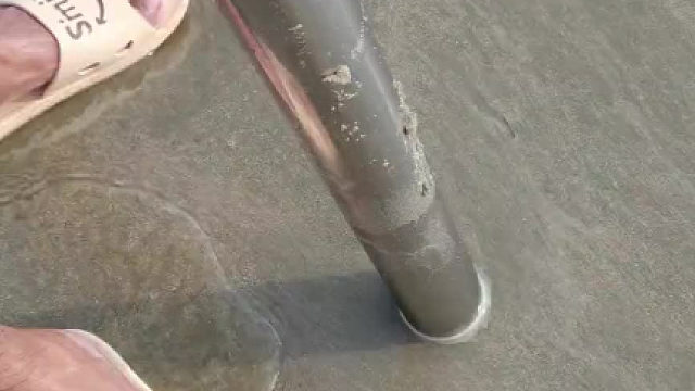 抽皮皮虾，大自然的馈赠