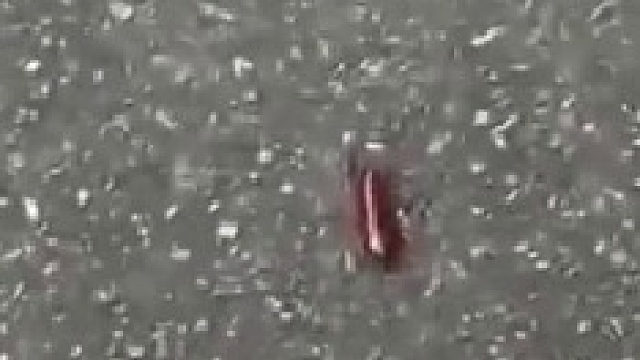 怎么会突然不见了