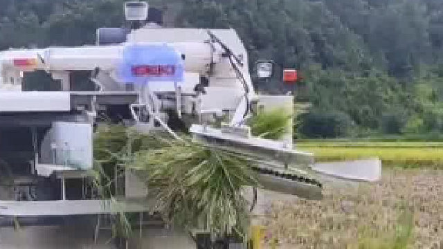这收割机是打谷青储一条龙啊，稻草都直接打捆了