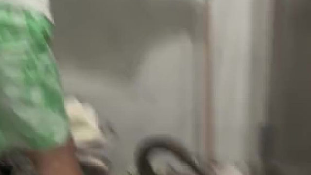 居然想用手拿，这可是剧毒蛇