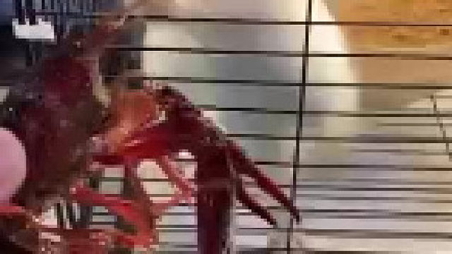 这不就是故意的吗？