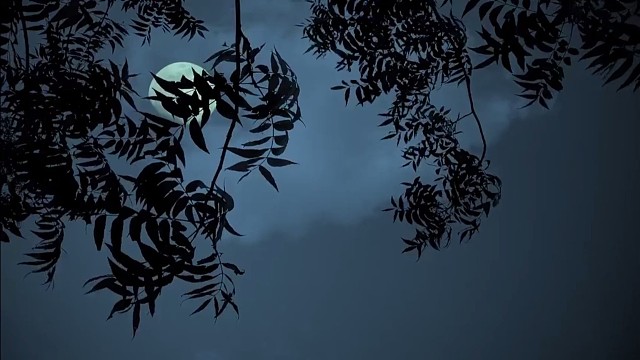 如何参与到开源项目当中？