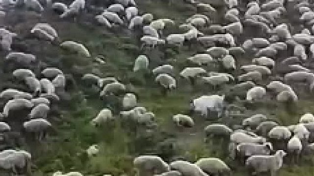 够不够你两年工资