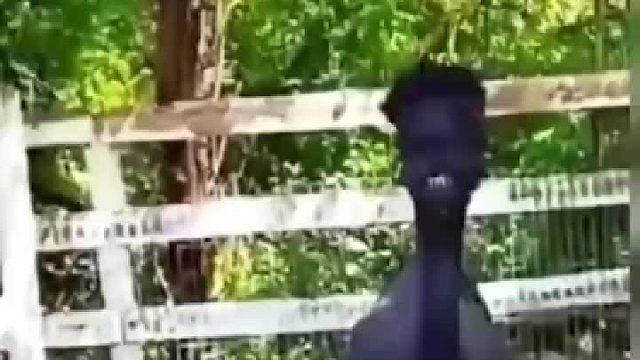 好像一个人，就是想不起来是谁