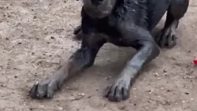 这眼睛都变了啊，看到就感觉害怕