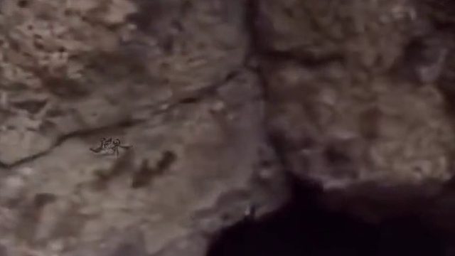 这就是真正的喷射战士