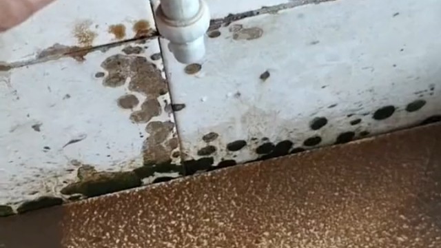 刚开学学校里的水龙头