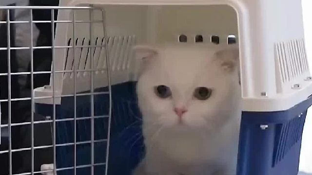 纠结了大半年，终于决定了