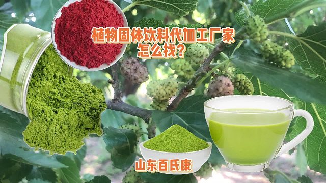 植物固体饮料代加工厂家怎么找？