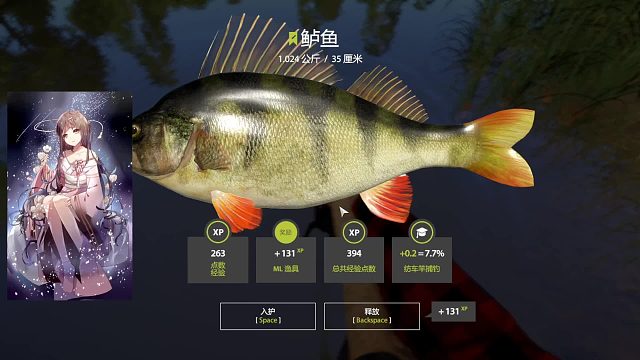 钓钓鱼，放松一下