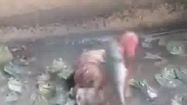 癞蛤蟆想吃鸡肉