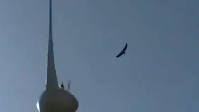 逍遥自在的老鹰被风力发电的桨叶击落，居安思危啊