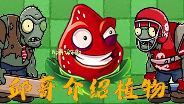 014邱哥介绍植物：植物大战僵尸之爆炸草莓！