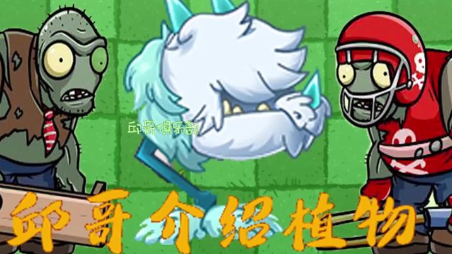 018邱哥介绍植物：植物大战僵尸之冰龙草！