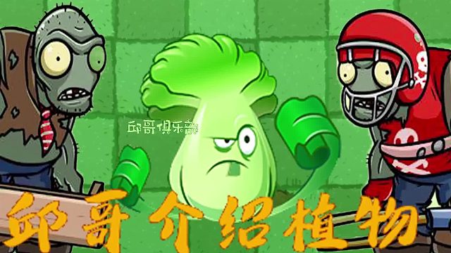 021邱哥介绍植物：植物大战僵尸之菜问！