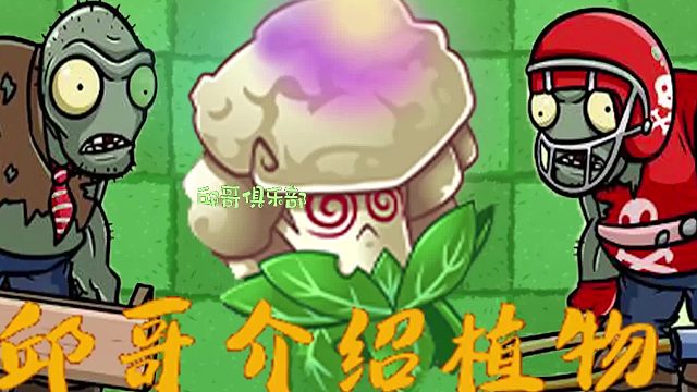024邱哥介绍植物：植物大战僵尸之超能花菜！