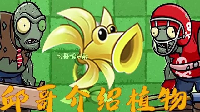 026邱哥介绍植物：植物大战僵尸之吹风荚兰！
