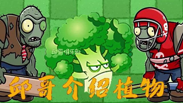 029邱哥介绍植物：植物大战僵尸之大力花菜！
