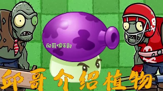 031邱哥介绍植物：植物大战僵尸之大喷菇！