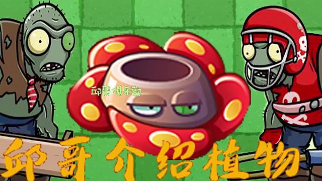 033邱哥介绍植物：植物大战僵尸之大王花！
