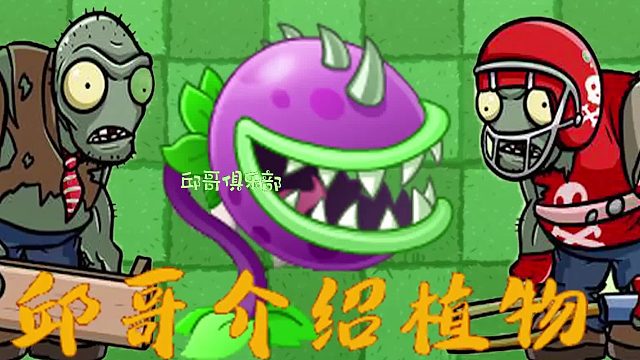 034邱哥介绍植物：植物大战僵尸之大嘴花！