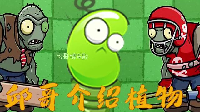 036邱哥介绍植物：植物大战僵尸之弹簧豆！