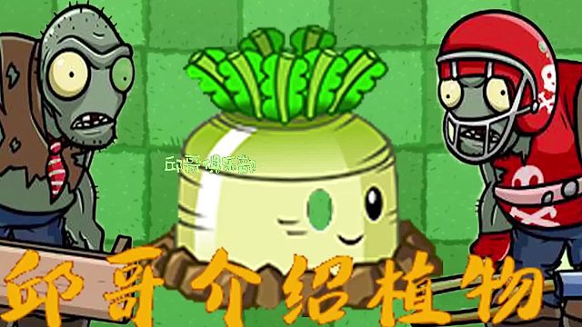 038邱哥介绍植物：植物大战僵尸之捣蛋萝卜！