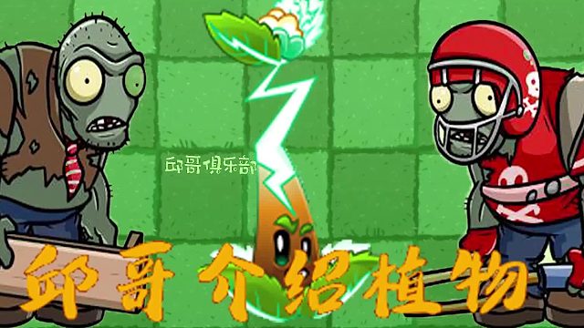 043邱哥介绍植物：植物大战僵尸之电力绿茶！