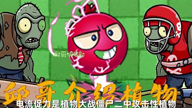 044邱哥介绍植物：植物大战僵尸之电流醋栗！