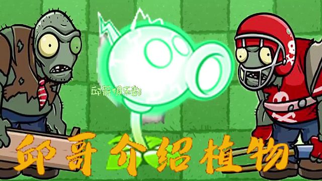045邱哥介绍植物：植物大战僵尸之电能豌豆！