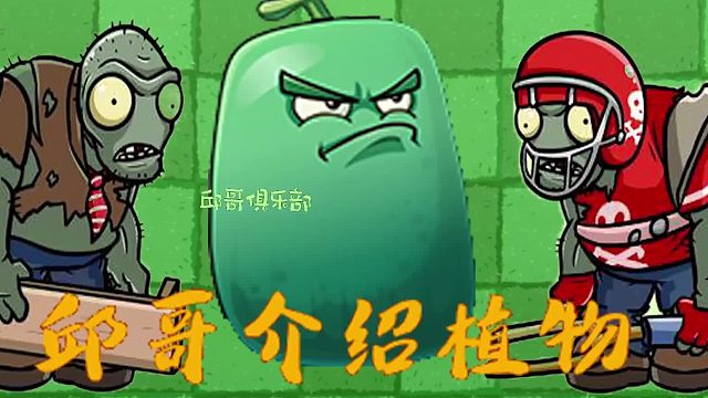 046邱哥介绍植物：植物大战僵尸之冬瓜守卫！