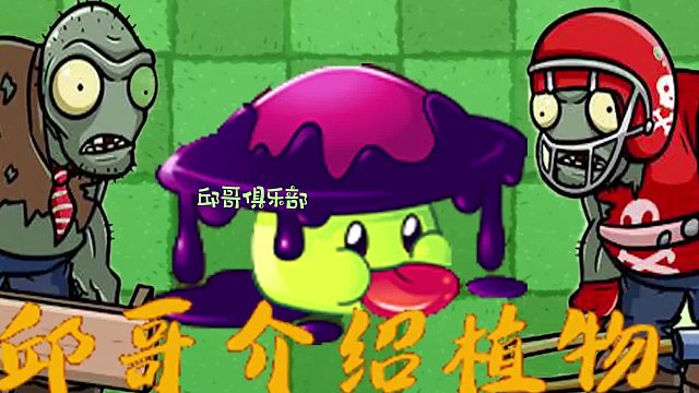 049邱哥介绍植物：植物大战僵尸之毒影菇！
