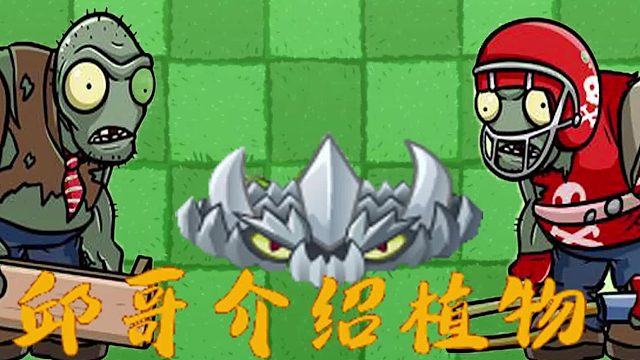 055邱哥介绍植物：植物大战僵尸之钢地刺！