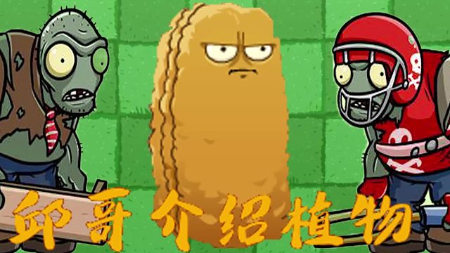 056邱哥介绍植物：植物大战僵尸之高坚果！