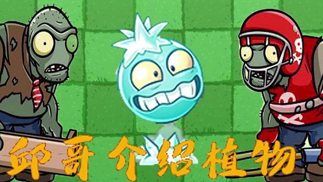 057邱哥介绍植物：植物大战僵尸之寒冰醋栗！