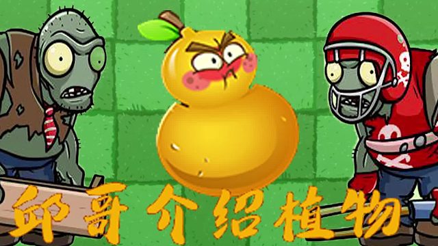 069邱哥介绍植物：植物大战僵尸之火葫芦！