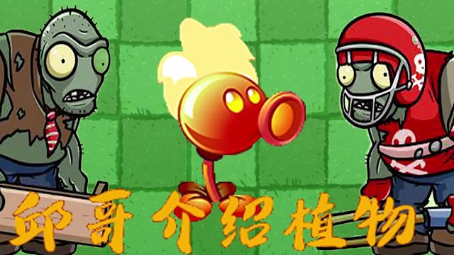 074邱哥介绍植物：植物大战僵尸之火焰豌豆射手！