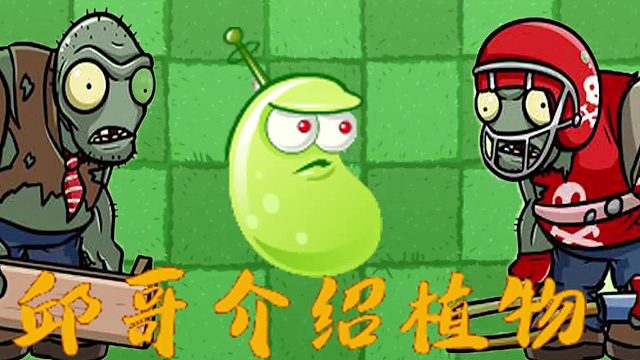 077邱哥介绍植物：植物大战僵尸之激光豆！