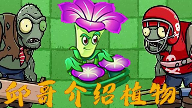 086邱哥介绍植物：植物大战僵尸之喇叭花！