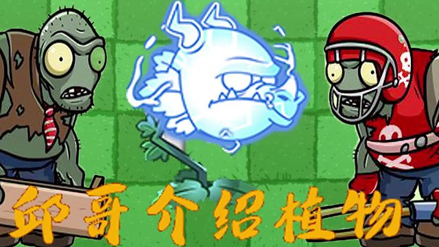 088邱哥介绍植物：植物大战僵尸之雷龙草！