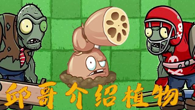 090邱哥介绍植物：植物大战僵尸之莲藕射手！