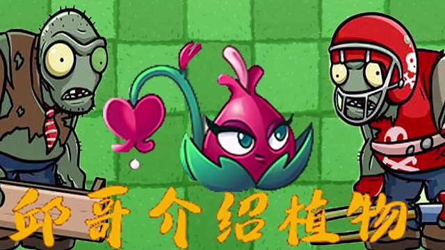 094邱哥介绍植物：植物大战僵尸之铃儿草投手！