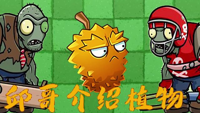 095邱哥介绍植物：植物大战僵尸之榴莲！